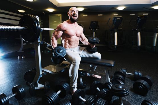 Testosterone undecanoate et construction d'un corps